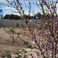 باغ-باغچه-زمین-خوش-نقشه-سند-آب-برق-اقساطی