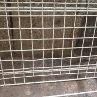 سبد یخچال  سالم