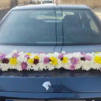 کرایه ماشین نامزدی عروسی|خدمات پذیرایی، مراسم|رامجین, |دیوار