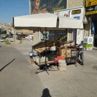 چتر سایه بان .