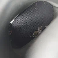 کاتولیزر زانتیا