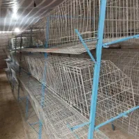 قفس ممبری مرغ بومی و صنعتی