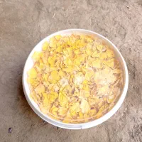 گل زردو تخم یونجه ونخ دستگاه