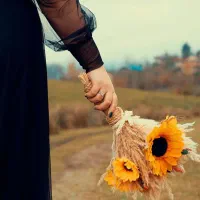 تدوین حرفه ای