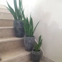 گل و گلدون