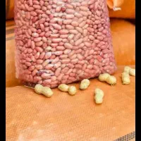 بادام زمینی درجه یک