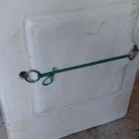 برینتانک ماهی و میگو