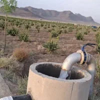 زمین  کشاورزی  طاقسکی سربیشه(سه راهی  پخت)