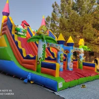 سرسره بادی طرح انگری برد