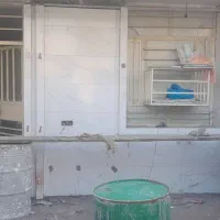 کاشیکار وسرامیک کار|خدمات پیشه و مهارت|مسجد سلیمان, |دیوار