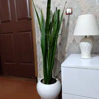 گل های طبیعی همراه گلدان