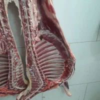 راستا شمش بره|خوردنی و آشامیدنی|اصفهان, جاوان|دیوار
