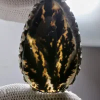 انگشتر شجرقائنات زمینه کبود زیبا مصور بی‌نظیر