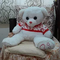 خرس عروسکی