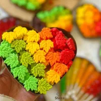 قند فانتزی شِکا|خوردنی و آشامیدنی|گرگان, |دیوار