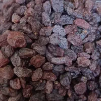 کشمش آفتابی تاکستان|خوردنی و آشامیدنی|تهران, مرزداران|دیوار