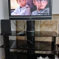 تلویزیون