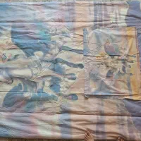 روتختی نوجوان|سرویس روتختی|همدان, |دیوار