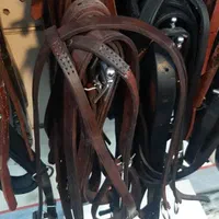 لوازم اسب و سوارکاری|اسب و تجهیزات اسبسواری|چالوس, |دیوار