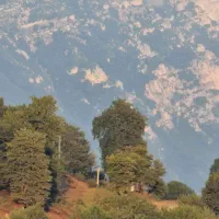 فروش زمین ۲ هکتاری باغی با سند
