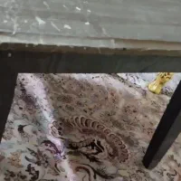 میز تحریر|میز تحریر و کامپیوتر|گلبهار, شهر جدید گلبهار|دیوار