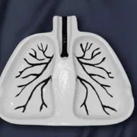 بیس خام ،بتنی فقط  عمده ،