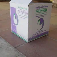 کارتن کارتون تخم مرغ