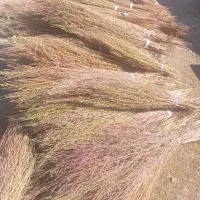 جارو نرم دسته ۳۵