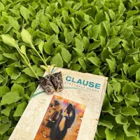 نشا گوجه بادمجان فلفل تند فلفل دلمه|خدمات باغبانی و درختکاری|سراوان, |دیوار