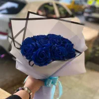 گل ربانی|گل مصنوعی|سقز, |دیوار