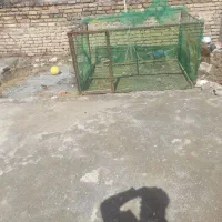 قفس