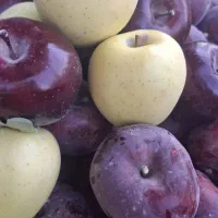 باسلام مشاوره وخرید مستقیم از تولید کننده