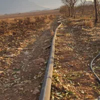 زمین کشاورزی|فروش زمین و ملک کلنگی|داران, |دیوار