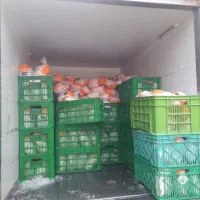 مرغ تنظیم بازار اکبر جوجه