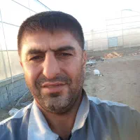 ب وراندازی گل خونه برقکاری ساختاری دیوار چینی د|خدمات پیشه و مهارت|دزفول, |دیوار