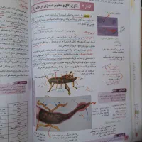 زیست دهم ذره بین|کتاب و مجله آموزشی|فردیس, نگارستان|دیوار