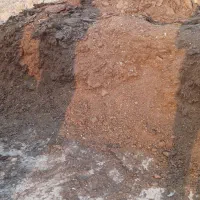 کود گاو|گل و گیاه طبیعی|بیرجند, |دیوار