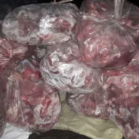 غذای سگ و گربه