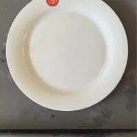 بشقاب چینی رستورانی