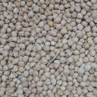 نخود|خوردنی و آشامیدنی|کرمانشاه, |دیوار