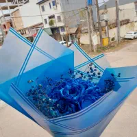 گل ربانی فقط فقط 29هزارتومن تخفیف ویژه