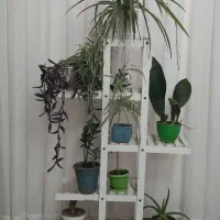 استند گل و گلدان