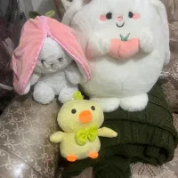 عروسک خارجی|اسباببازی بچه|قم, زاد|دیوار