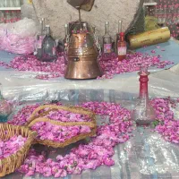 عرقیجات گل افروز