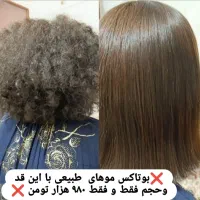موخوره گیری و پروتئین تراپی با پکیج الماس|خدمات آرایشگری و زیبایی|بومهن, |دیوار