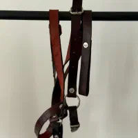 کله گیر خزدار اسب|اسب و تجهیزات اسب‌سواری|لاهیجان, انقلاب|دیوار