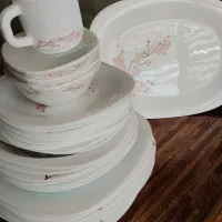 ارکوپال خیلی بفروش میرسد‌12نفره