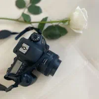 عکاسی با قیمت استثنایی پاییزی