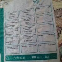 فرش ۹ متری سالم ۱۰/۰۰۰/۰۰۰|فرش|لنگرود, |دیوار