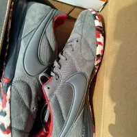 کفش سالنی نایک